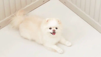 局部截取_20251014_111810