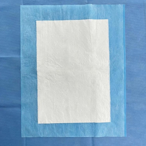 Sterile Disposable Delivery Pack
