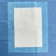 Sterile Disposable Delivery Pack